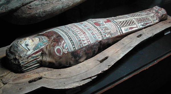 耶鲁大学皮博迪自然史博物馆