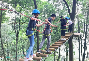 广州飞越丛林探险乐园第 21 张图片