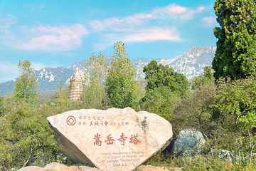 嵩阳景区第 6 张图片