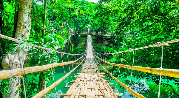 薄荷吊桥