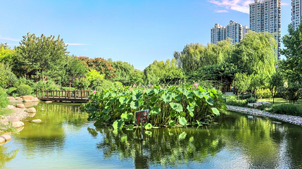 河东公园第 1 张图片