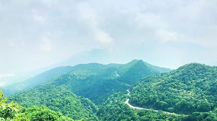 五指山第 1 张图片
