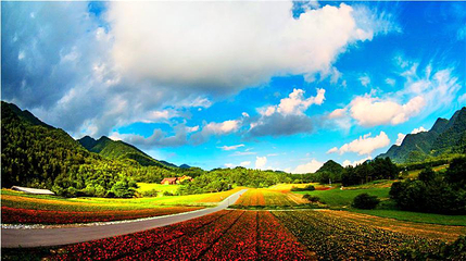 红池坝风景区第 1 张图片