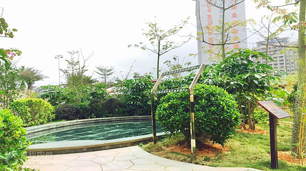 维纳斯皇家温泉(广东阳西店)第 3 张图片
