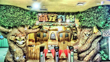 萌宠奇缘第 1 张图片