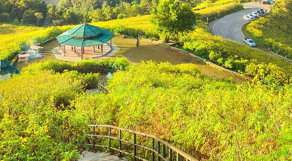 长兴花溪谷景区