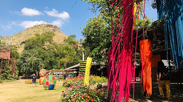 吉姆汤普森农场