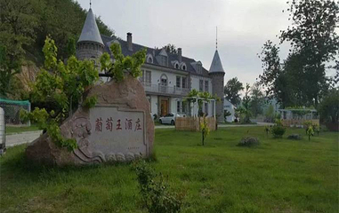华泰葡萄王酒庄第 1 张图片