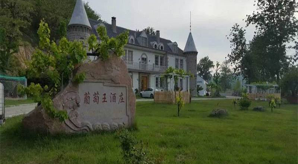 华泰葡萄王酒庄