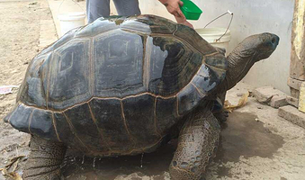 两栖爬行动物馆