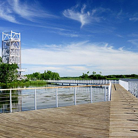 乌苏里湿地千岛林风景区