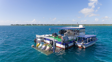 蓝色潜水艇观光体验