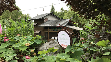 大观公园第 23 张图片