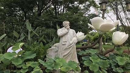 大观公园第 29 张图片