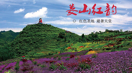 黔北花海第 28 张图片