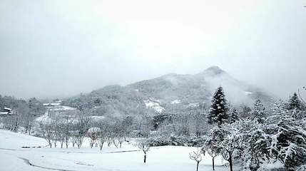 九重花岭景区第 27 张图片