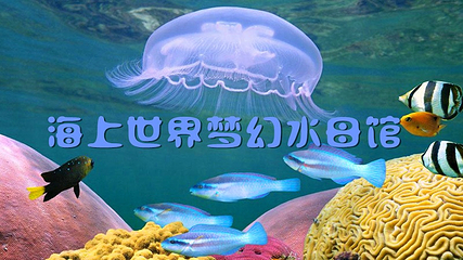 海上世界第 20 张图片