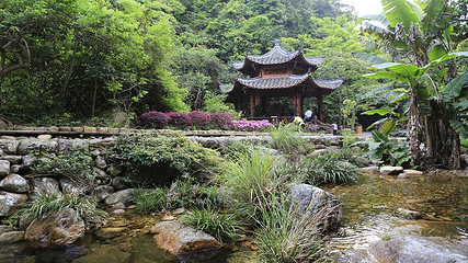雁南飞茶田景区-桥溪古韵第 20 张图片