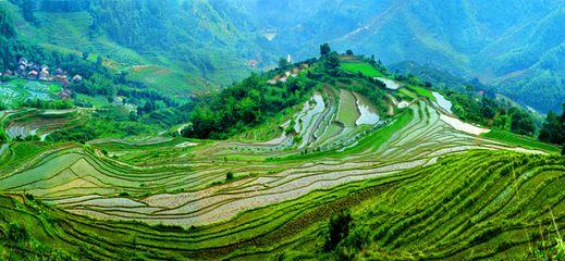 宜春明月山旅游区第 18 张图片
