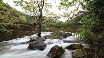 雁南飞茶田景区-桥溪古韵第 11 张图片