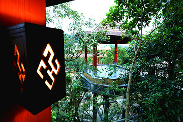 七仙岭雨林仙境树上鸟巢温泉第 18 张图片