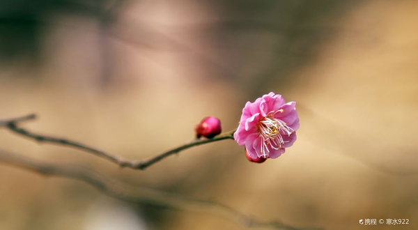 九峰山网岙景区