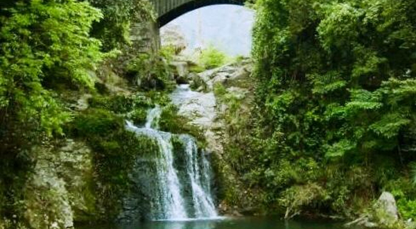 野鹤湫风景区