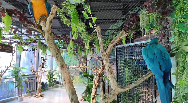 润达奇妙萌宠乐园(润达国际购物中心店)