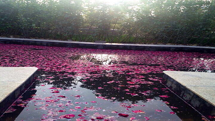 鄢陵花溪温泉第 16 张图片
