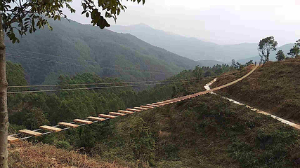 印山国家森林康养基地第 17 张图片