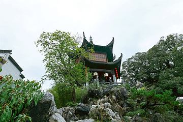 婺源熹园第 33 张图片
