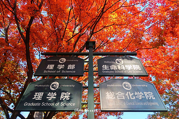 北海道大学第 6 张图片
