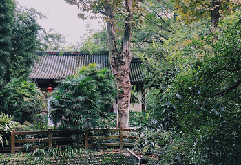 望江楼公园第 42 张图片