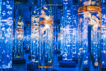 张家港梦幻海洋王国第 1 张图片