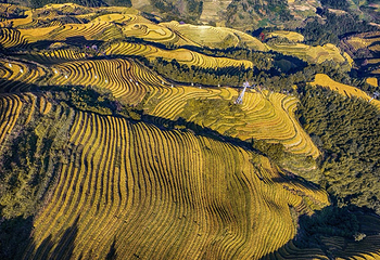 龙脊梯田风景名胜区-金坑梯田第 18 张图片