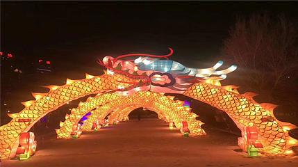 沈阳奥体冰雪嘉年华第 95 张图片
