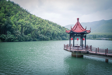 宜兴竹海风景区第 67 张图片