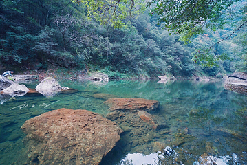 文成铜铃山森林公园景区第 24 张图片