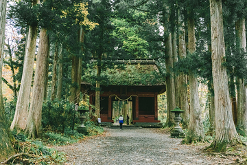 户隐神社第 16 张图片