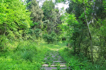 先秦古蜀道第 12 张图片