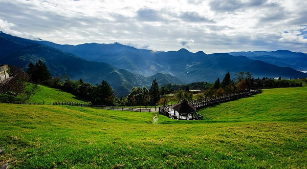 青青草原