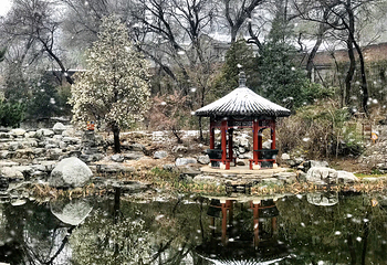 八大处公园第 41 张图片