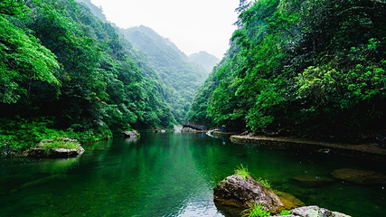 文成铜铃山森林公园景区第 10 张图片