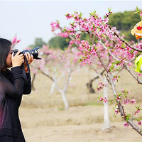 张家港凤凰山景区