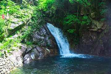 醉山野景区第 52 张图片