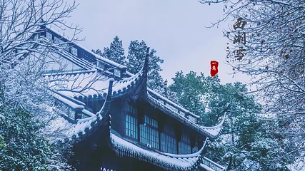 孤山第 6 张图片