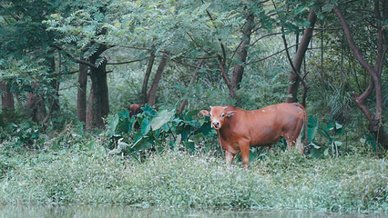 衢州大峡谷漂流第 6 张图片