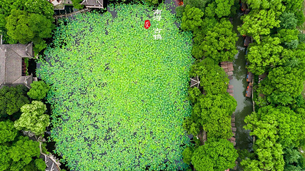 小莲庄第 64 张图片