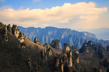 天子山风景区第 6 张图片