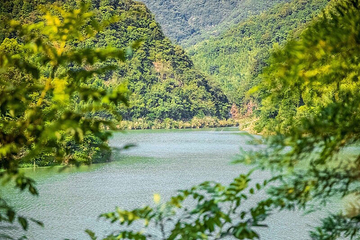 溪头旅游村第 15 张图片